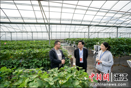 宁海县西店镇纪委工作人员实地走访草莓基地，核实农业示范基地补贴发放情况。 宁海县纪委 供图