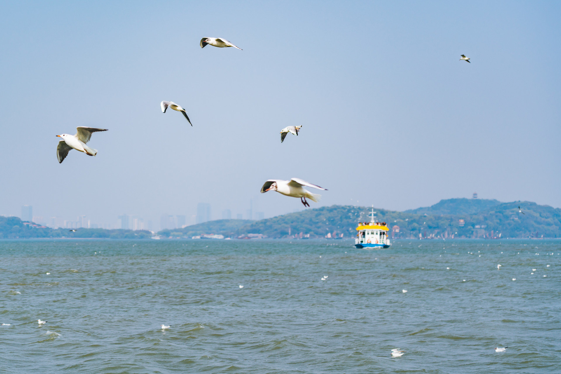 无锡交响乐团正式启动！