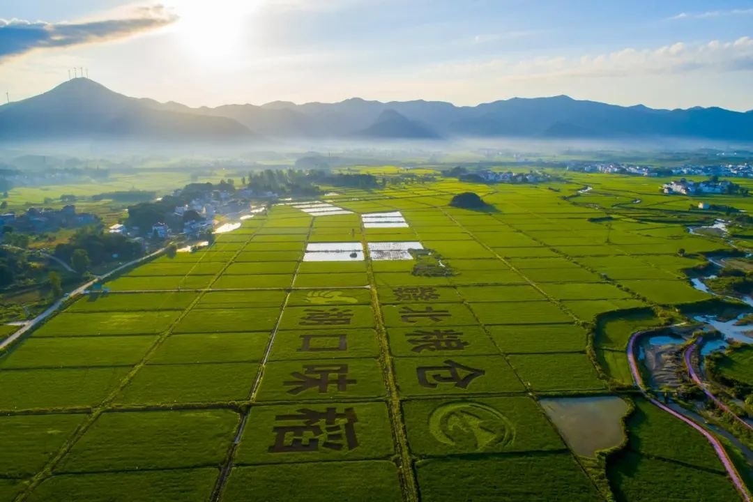 湖口县武山镇