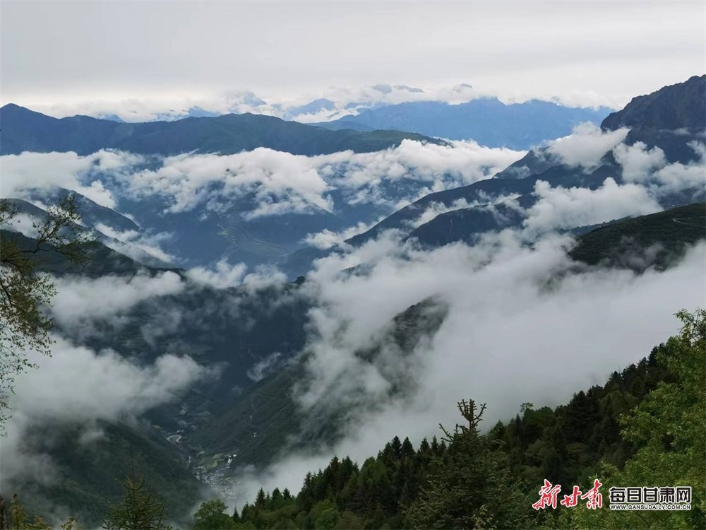 苍茫云海恋群峰 张宝明 摄
