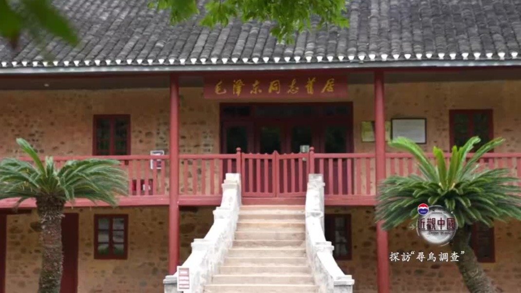 为了解社会的各个方面，毛泽东在寻乌用了何种“调查技术”？