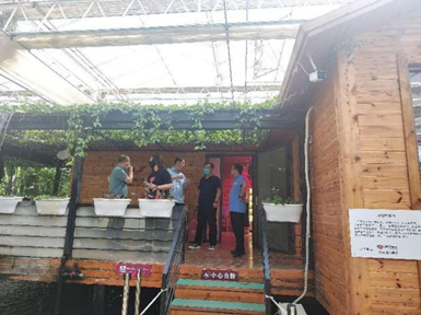 河北省通管局领导点赞联通塔元庄智慧农业项目