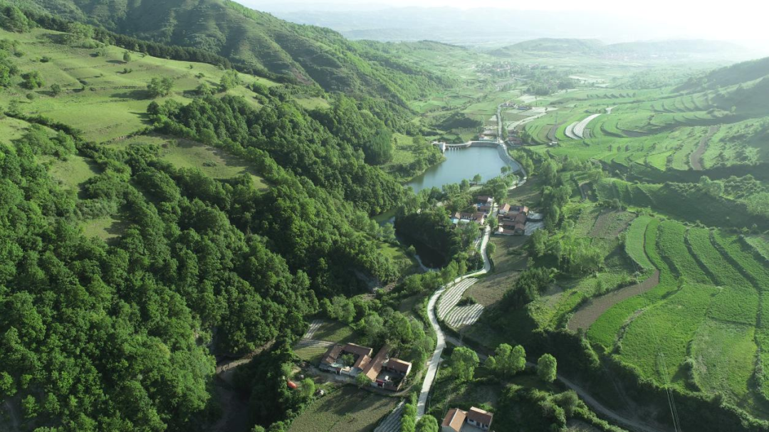 盛夏农忙好风景 华亭欣欣向荣盼丰收