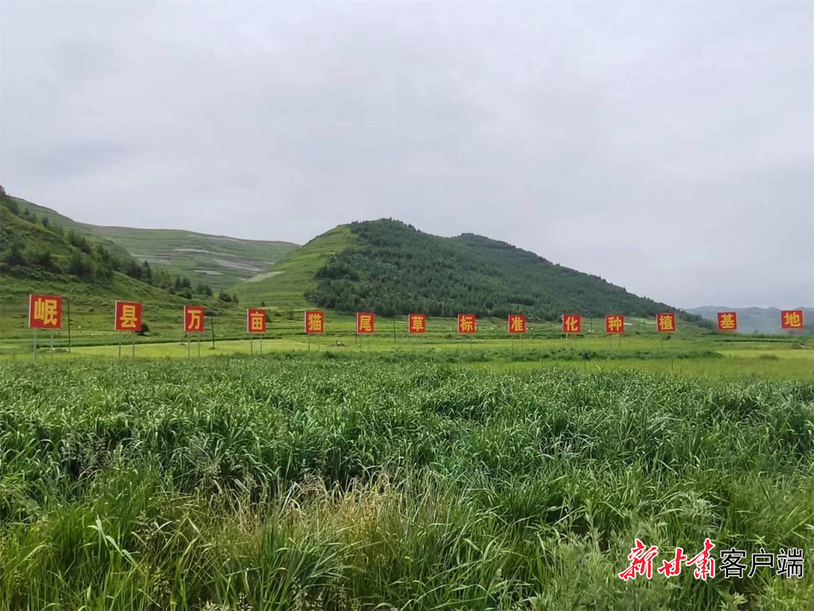 微信图片_20230620140323.jpg