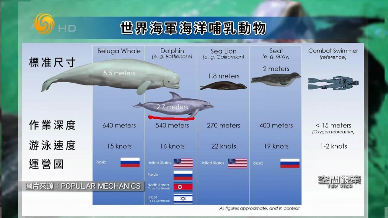 防御乌克兰水下偷袭？俄罗斯在黑海部署“海豚大军”