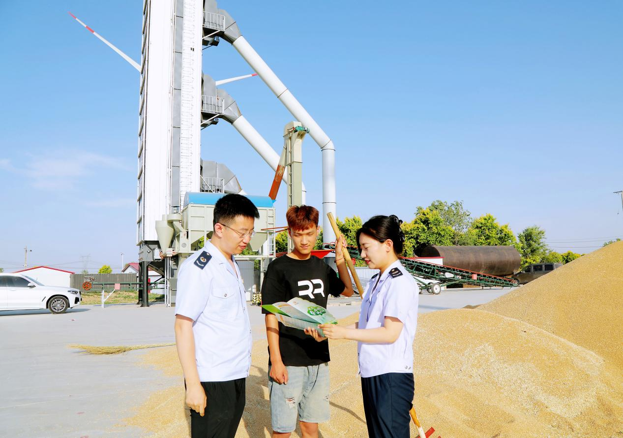 开镰了！“风”吹涌麦浪 税惠助“三农”