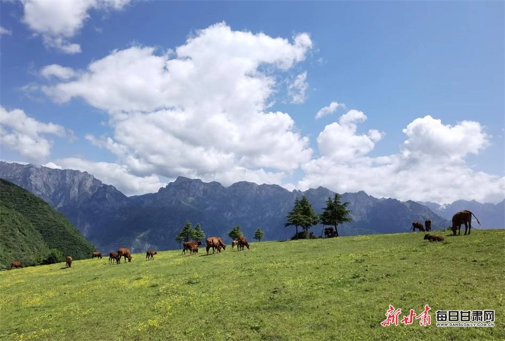 空气清新的拉尕山 张宝明 摄