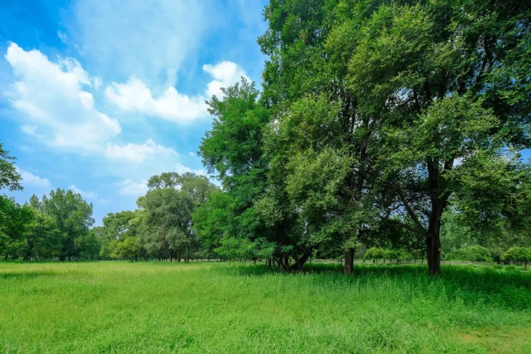 40°C的避暑胜地，认真的？_凤凰网旅游_凤凰网