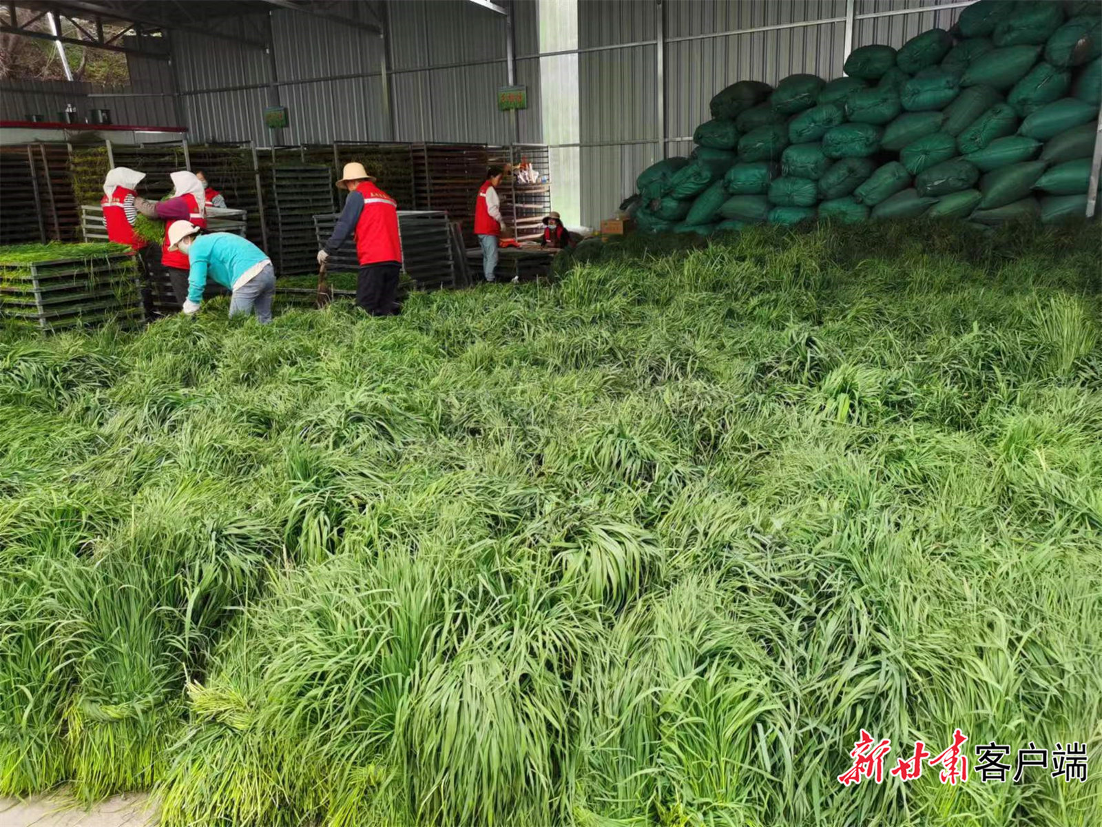 微信图片_20230620140354.jpg