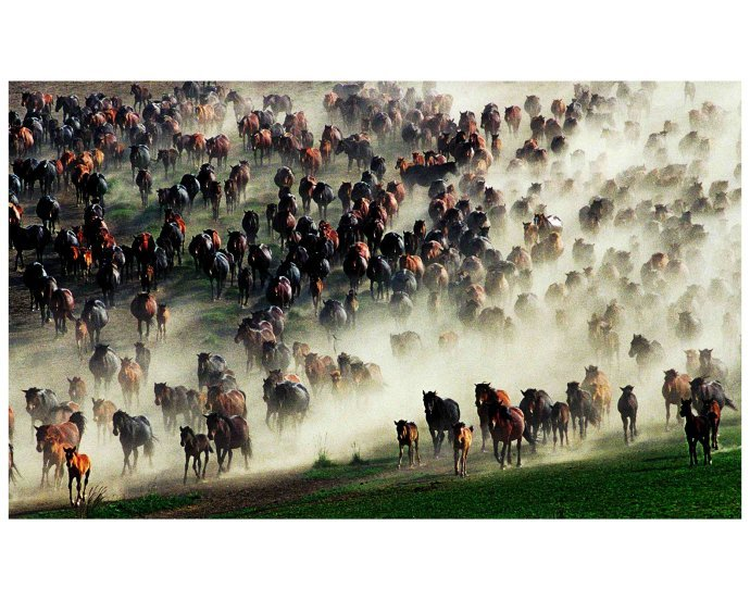 山丹军马场|图源网络
