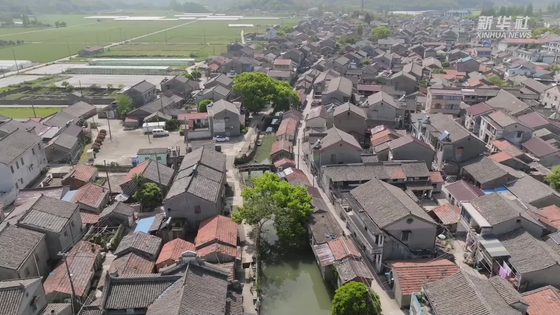 宁波镇海:凝聚“乡愁”的新村景_凤凰网视频_凤凰网