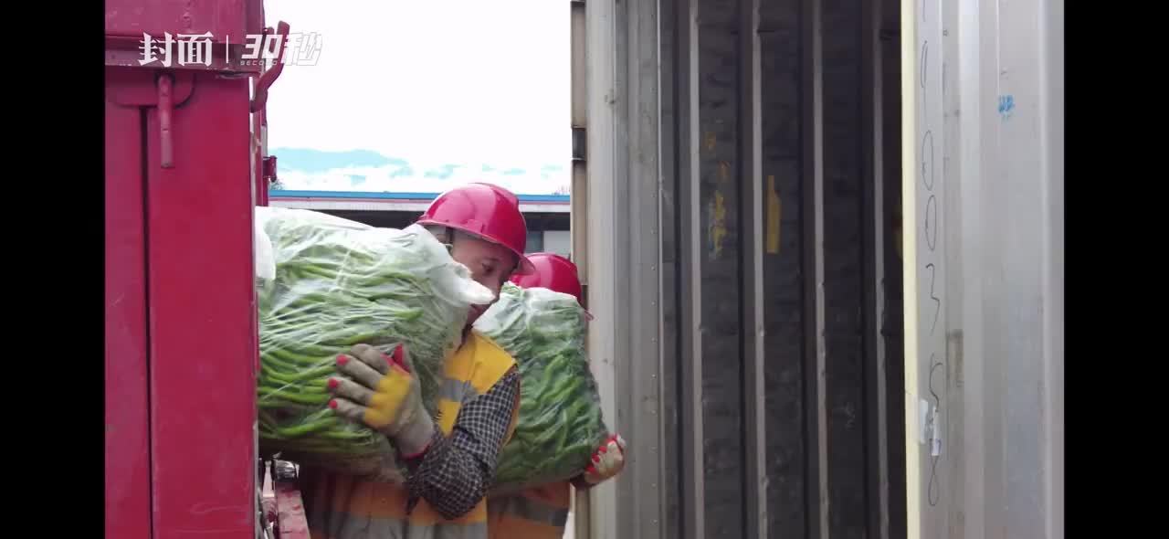 30秒｜攀西首列（西昌—重庆）生鲜冷链测试班列发出 运输市场时常压缩近20小时