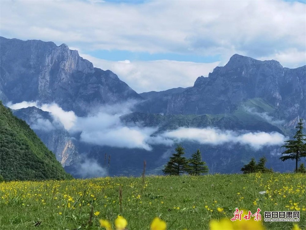 拉尕山草原 张宝明 摄