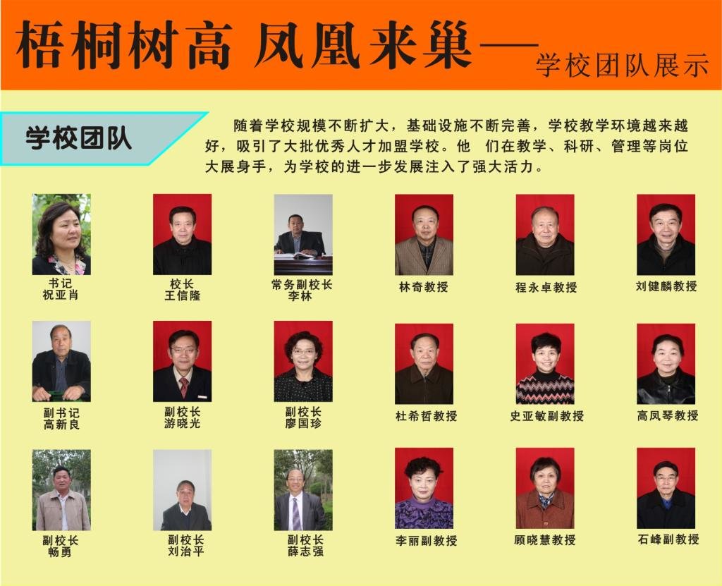 学校团队