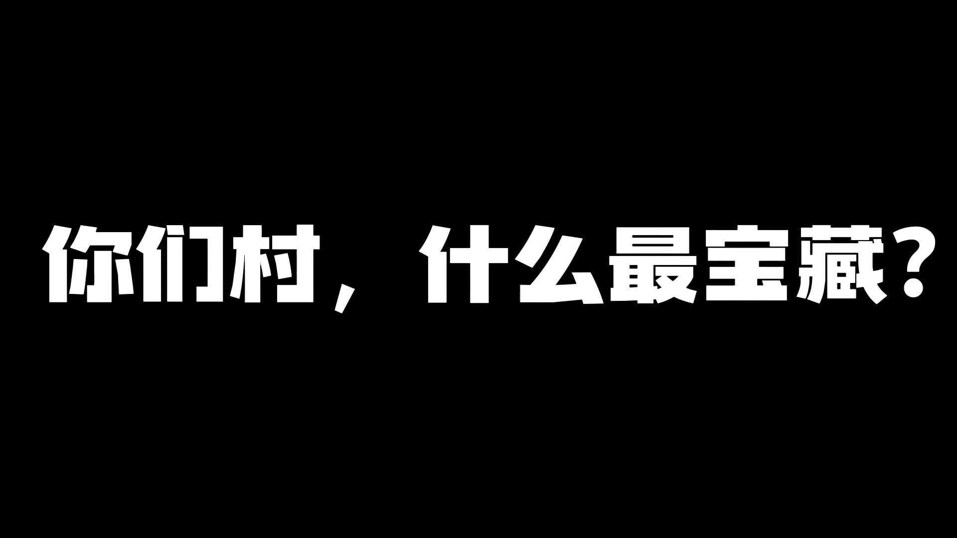 宝藏田野|如何推进乡村振兴？这里有浙江答案