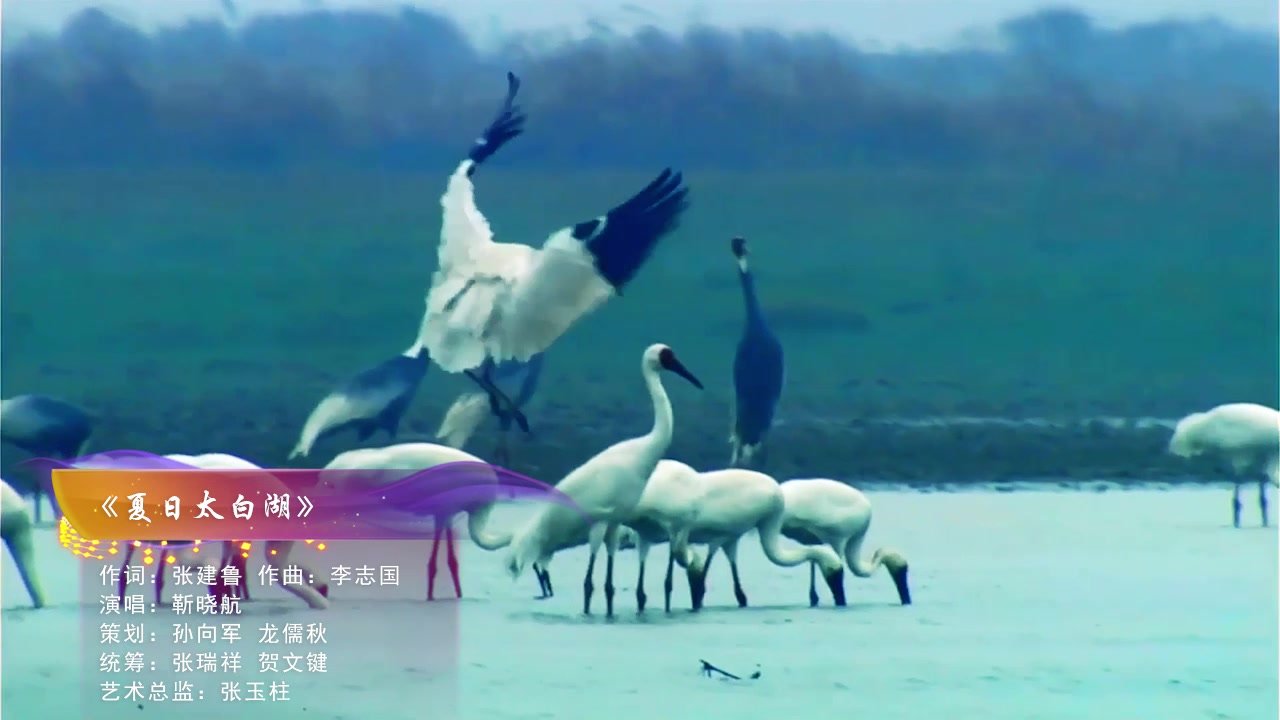 张建鲁原创歌曲展播--《夏日太白湖》