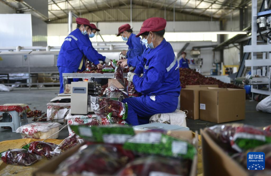 6月26日，工人在河南省安阳市内黄县兴隆农产品有限公司的生产车间里包装辣椒。