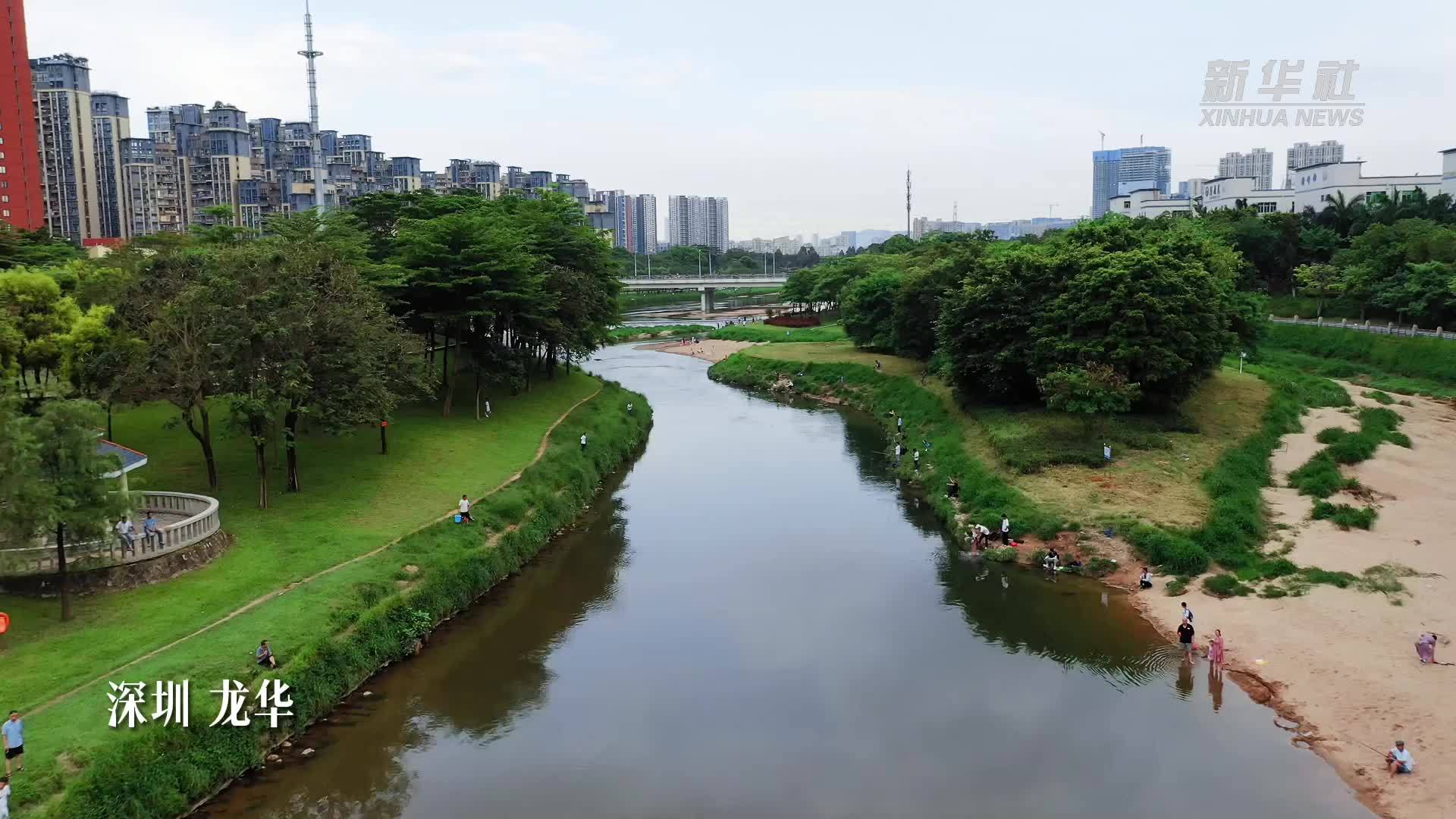 瞰中国|深圳龙华：仲夏观澜河