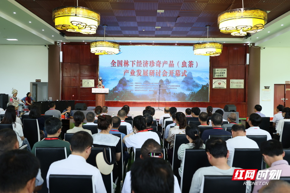 全国林下经济珍奇产品（虫茶）产业发展研讨会现场。