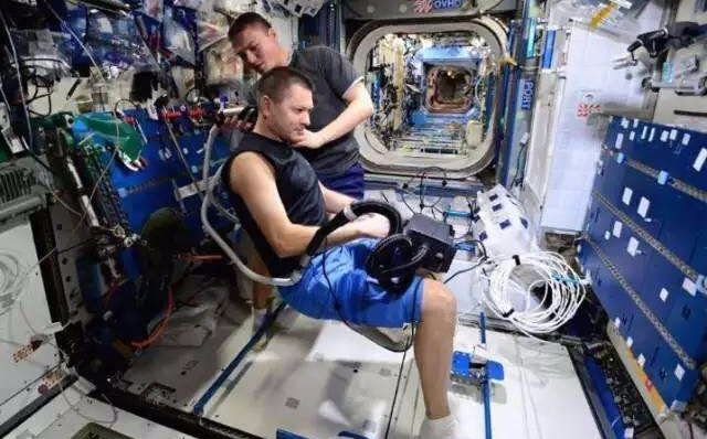 医用腰带怎么戴日本变态“抽脂带”，戴它25分钟≈卷腹368次，再见了啤酒肚_https://www.jmylbn.com_新闻资讯_第4张