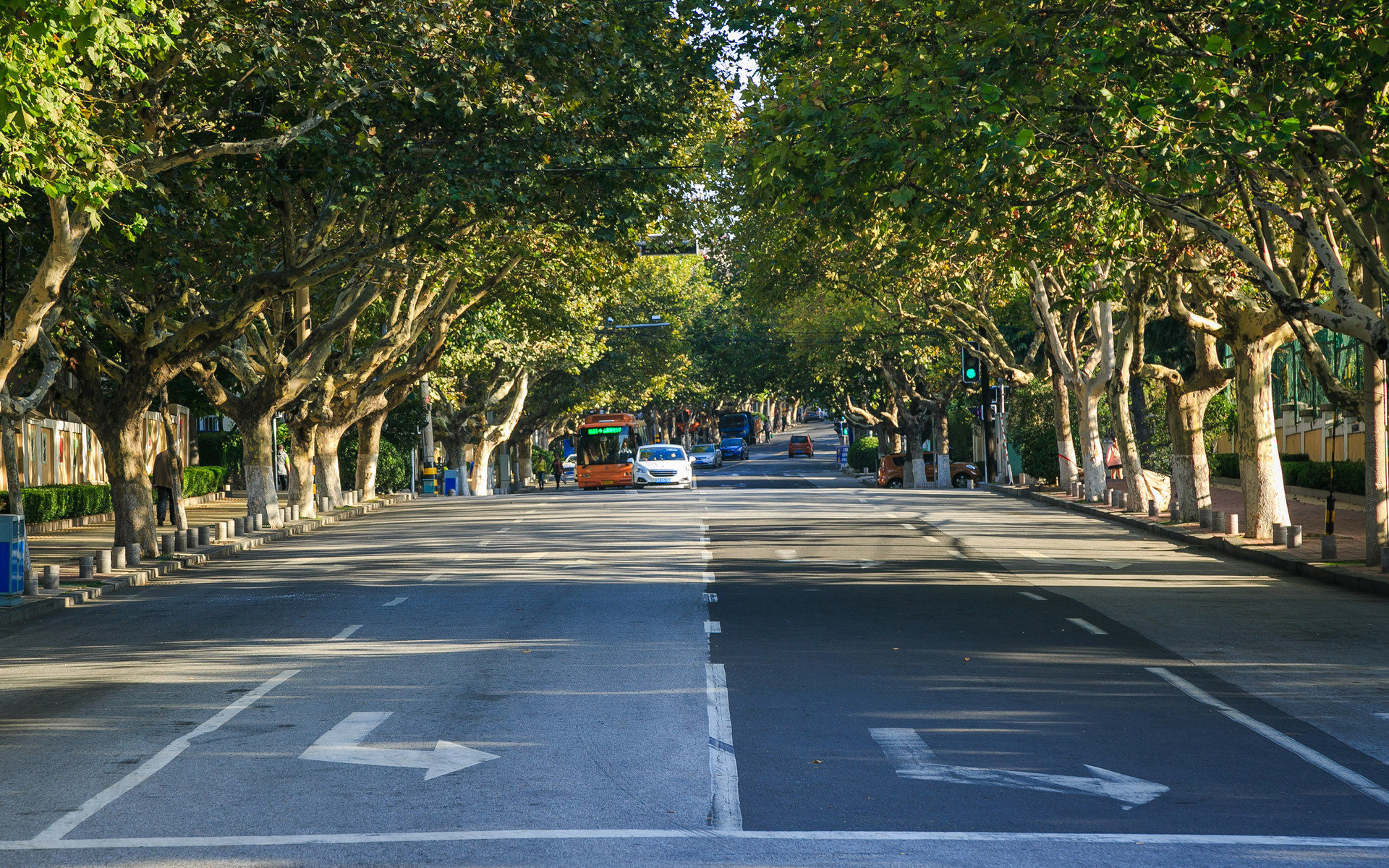 端午假期青岛文旅“交卷”：日均接待游客429.5万人次