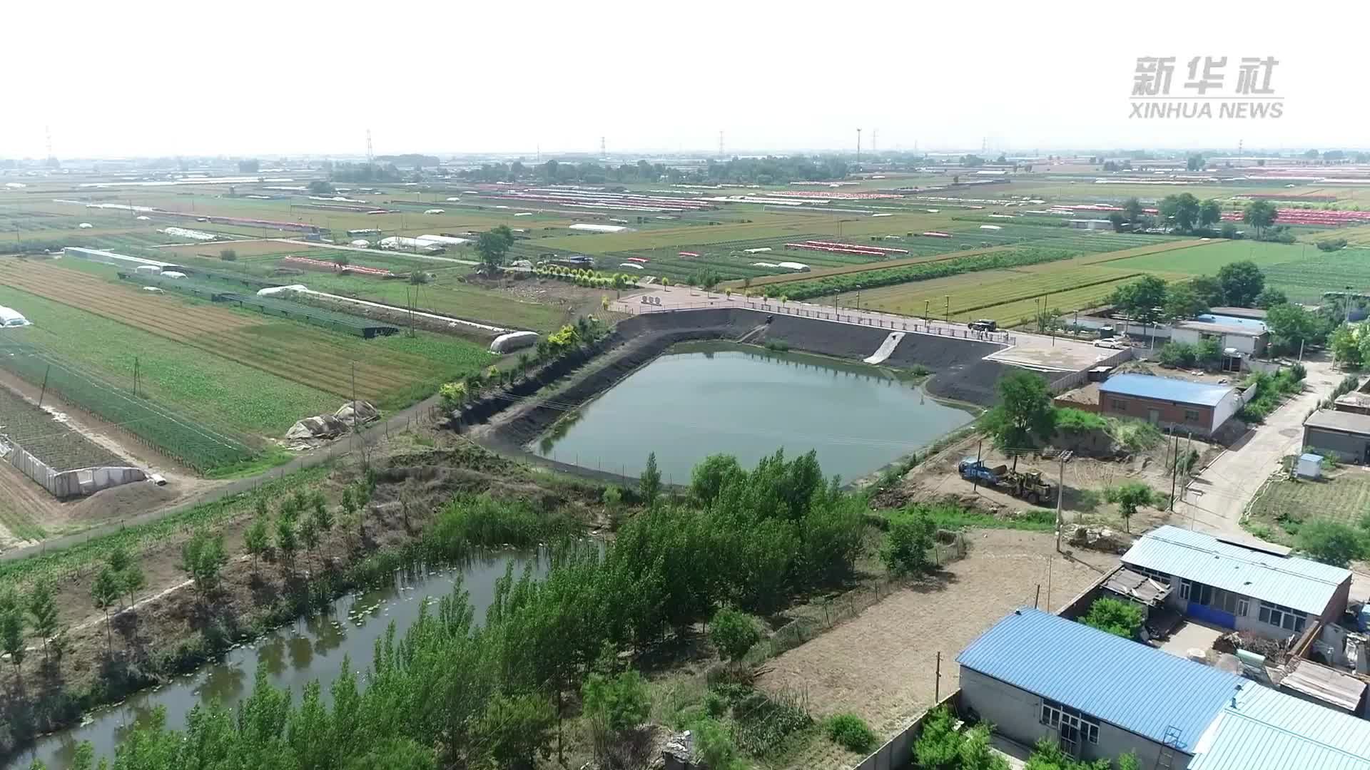 河北乐亭：昔日“废坑塘”变身乡村“风景线”