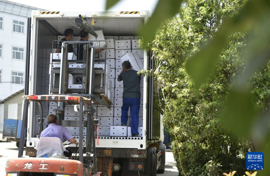 6月26日，工人在河南省安阳市内黄县兴隆农产品有限公司将辣椒制品装车准备外销。
