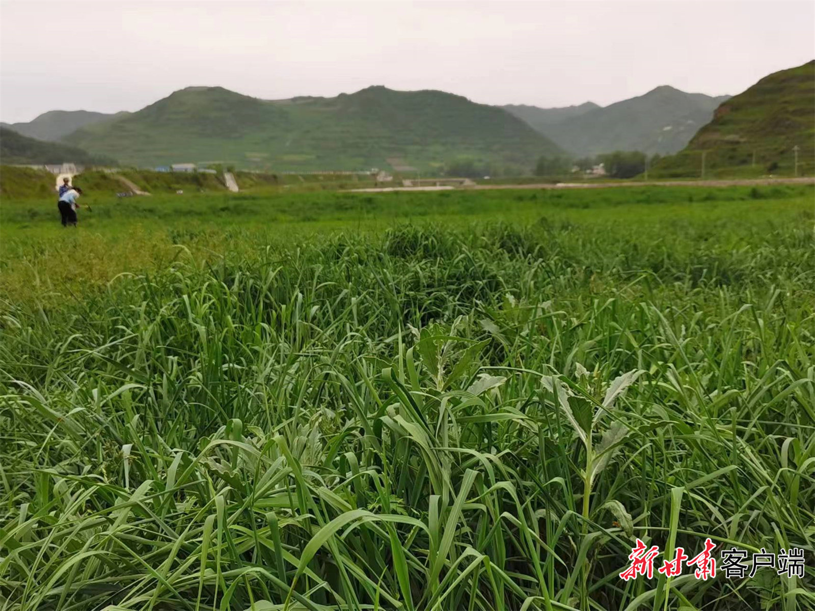 微信图片_20230620140418.jpg
