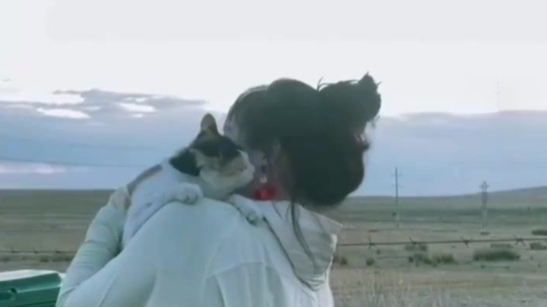 主人一年多没回家，猫咪穿过草原旷野，狂奔百米迎接