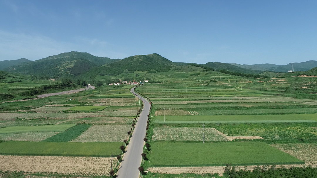 盛夏农忙好风景 华亭欣欣向荣盼丰收