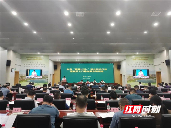 微信图片_20230628093531_副本.jpg