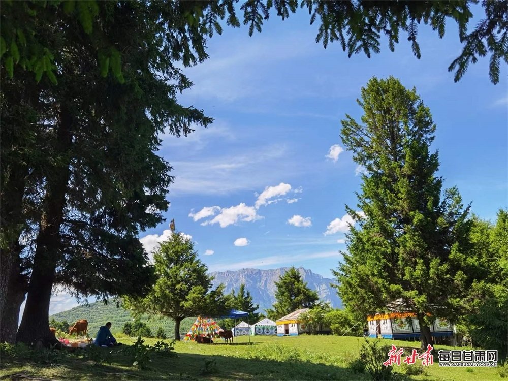 拉尕山帐篷营地 张宝明 摄