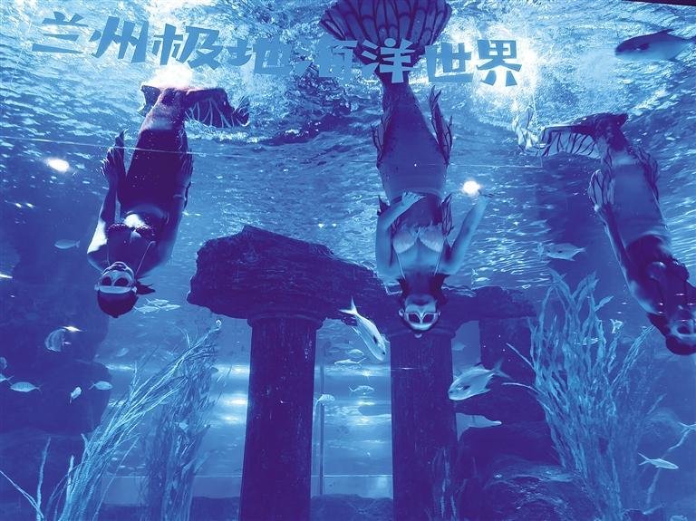 兰州极地海洋世界美人鱼表演