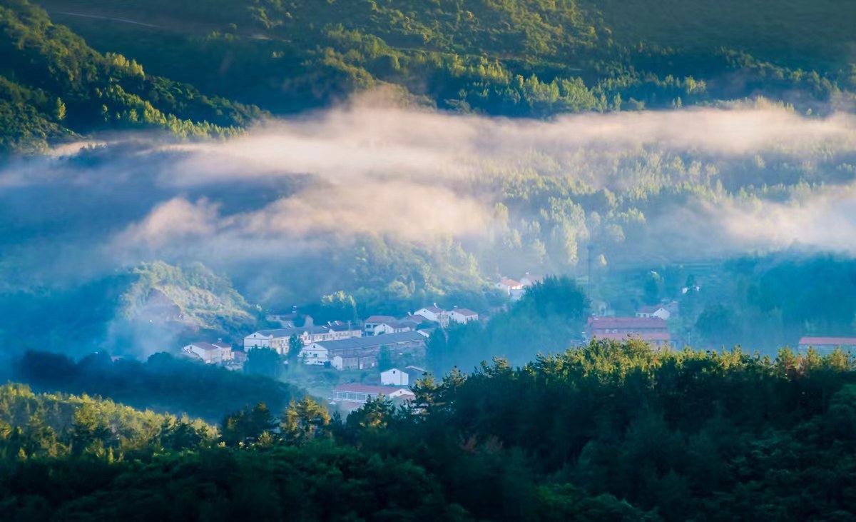 雾绕空山恰似在人间__凤凰网