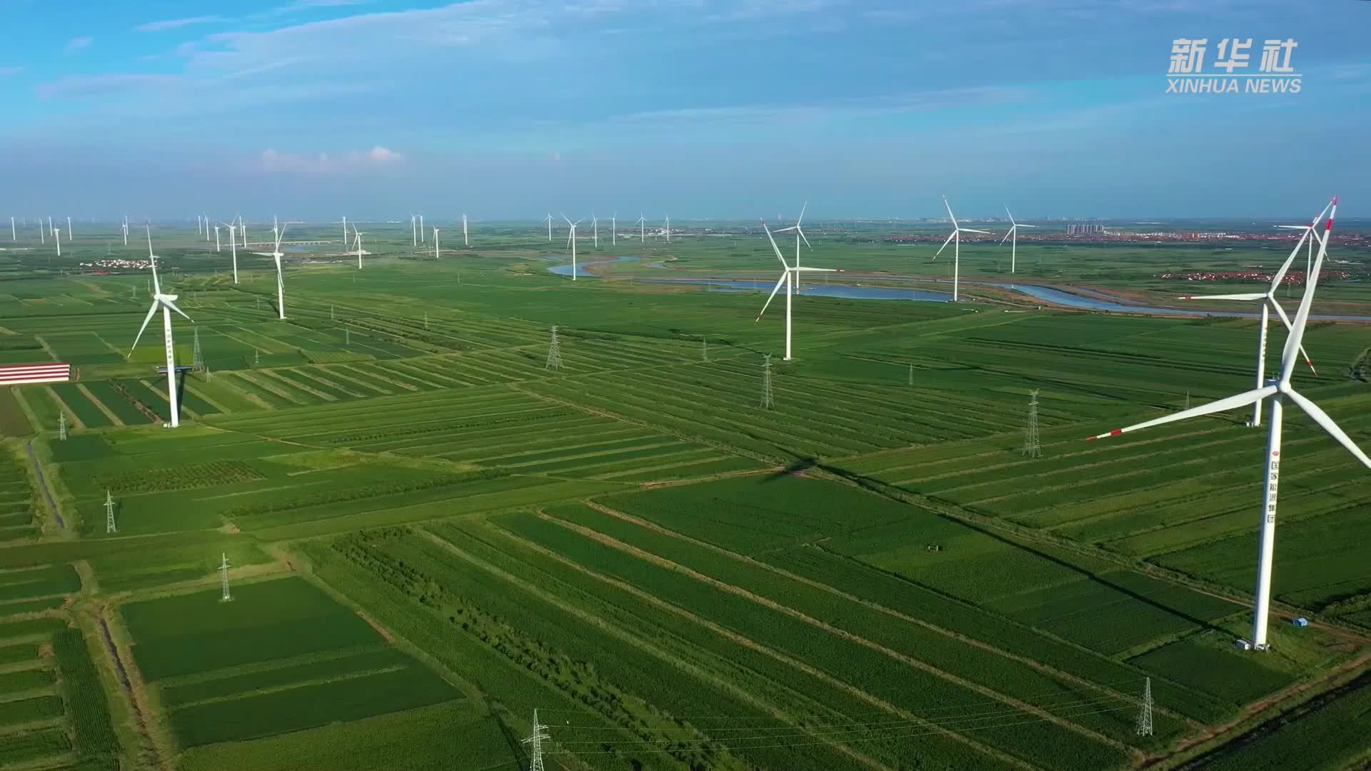 山东滨州：大力发展风电装备制造业