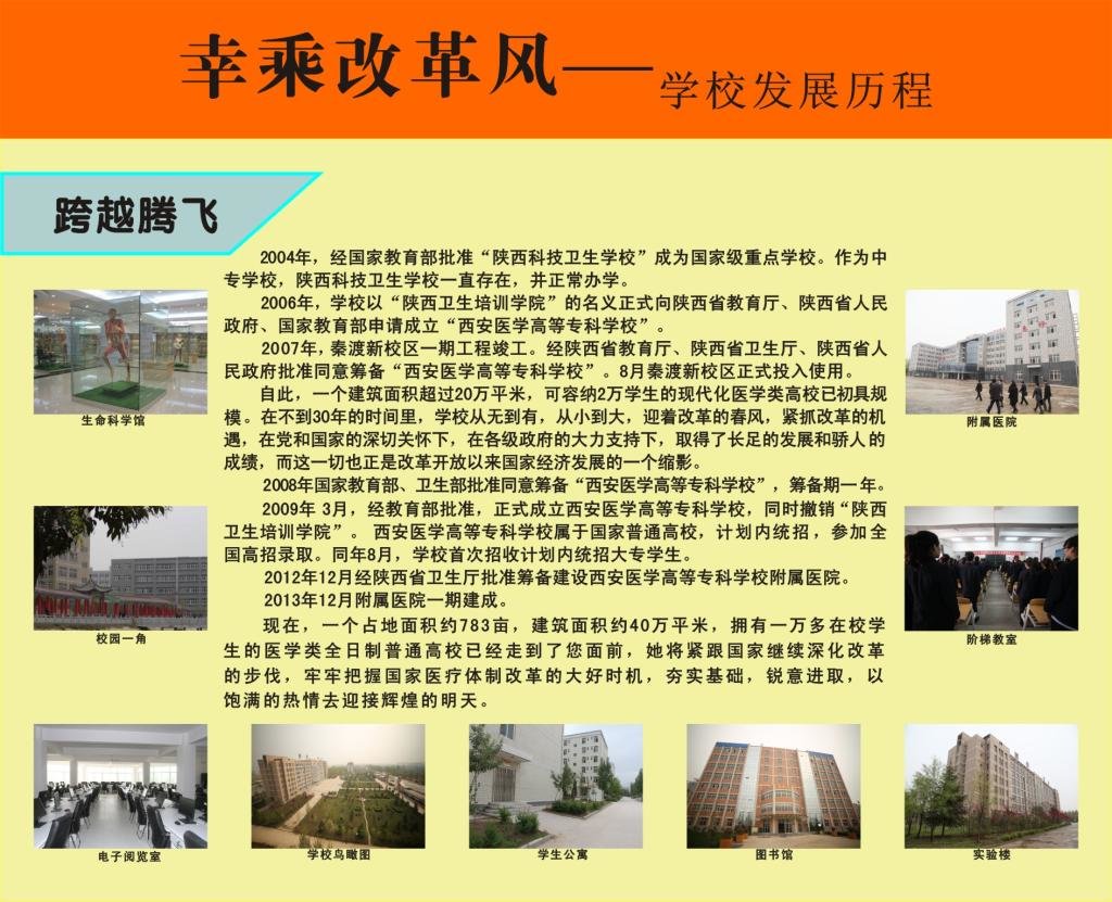 发展历程