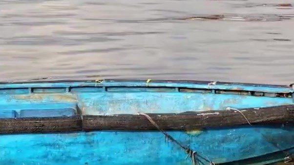 男子出海钓鱼疑似被走私船撞死，家属：肇事者见死不救加速逃逸