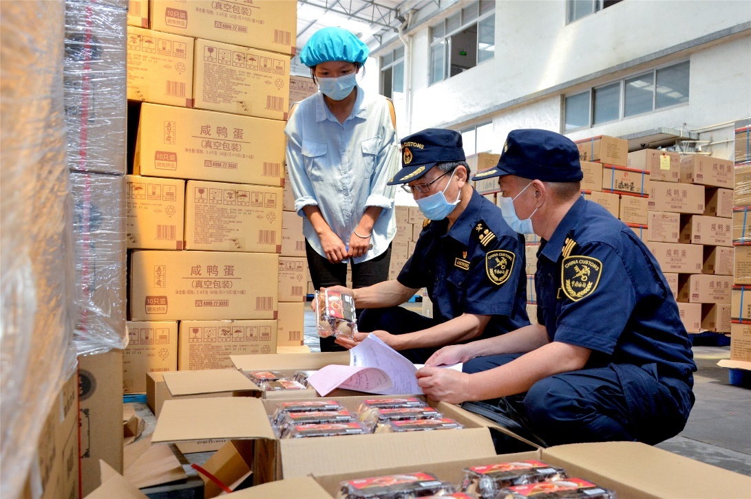 江门海关所属开平海关关员到对出口蛋制品进行属地查验 江关宣 摄