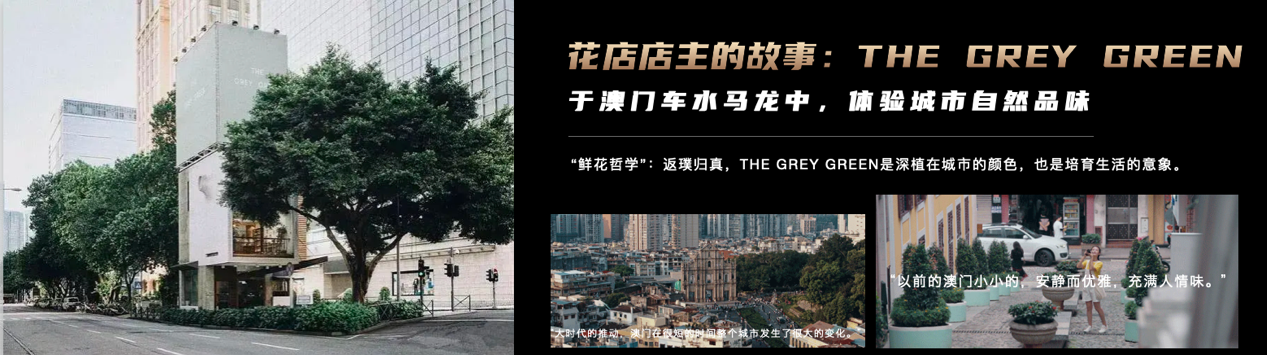 2023世界城市品牌指数报告权威发布