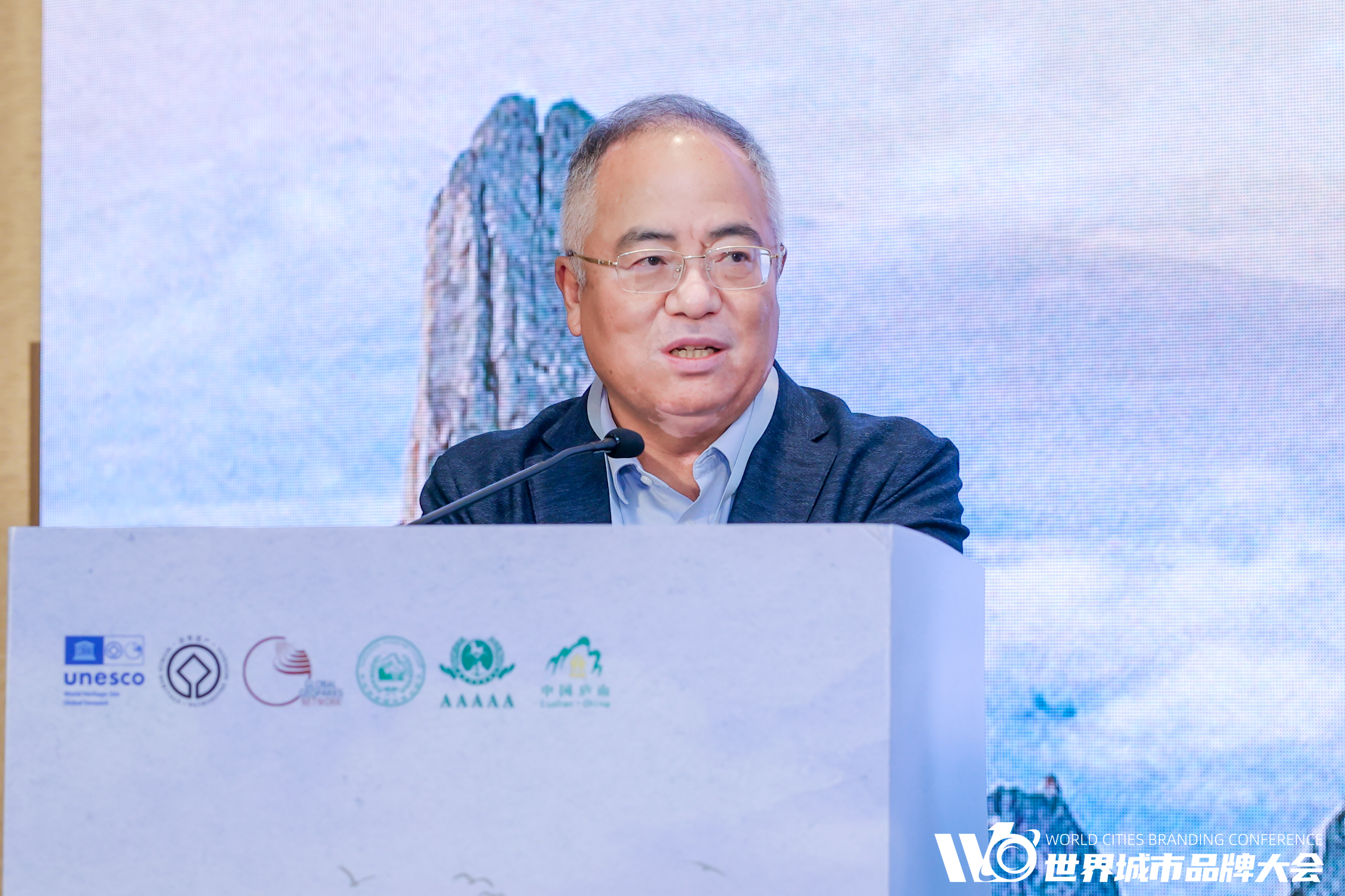 中国传媒大学教授、国家广告研究院院长丁俊杰