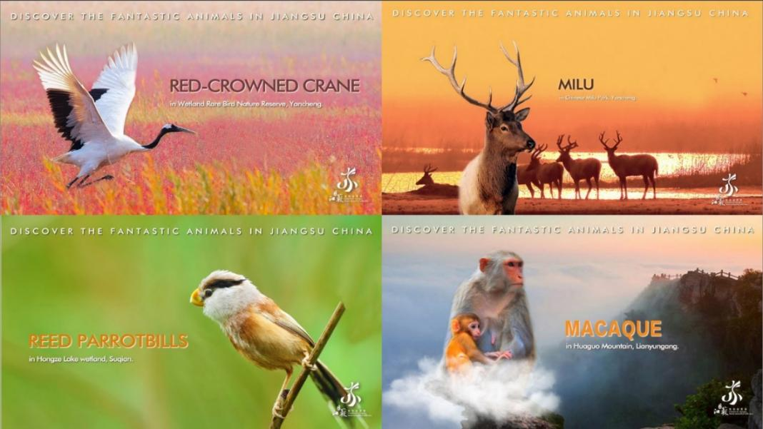 “水韵江苏”全球传播中心 ——江苏省文旅品牌国际传播案例荣获2023“长城奖-文旅好品牌”铜奖及国际传播优秀案例