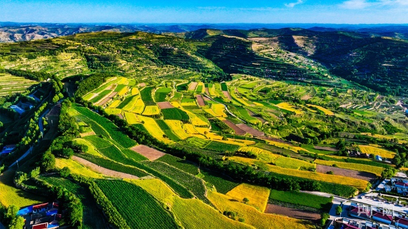色彩斑斓的庄浪梯田（央广网发 张沛杰 摄）