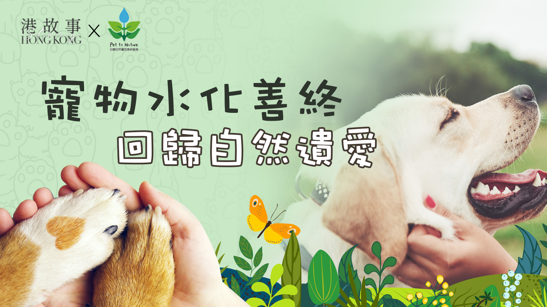 宠物善终-水化是什么？给爱宠更体面的告别仪式