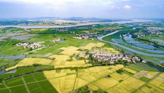 南昌县黄马乡：“四笔”绘就乡村绿美新画卷