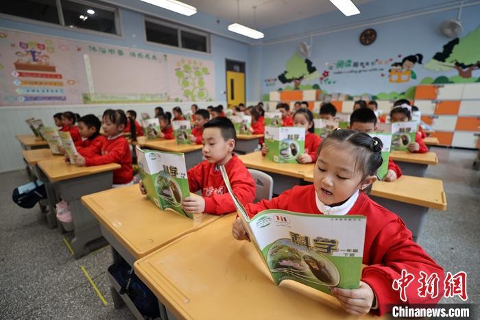 资料图:小学生在教室上课。 <a target='_blank' href='/'>中新社</a>记者 张云 摄