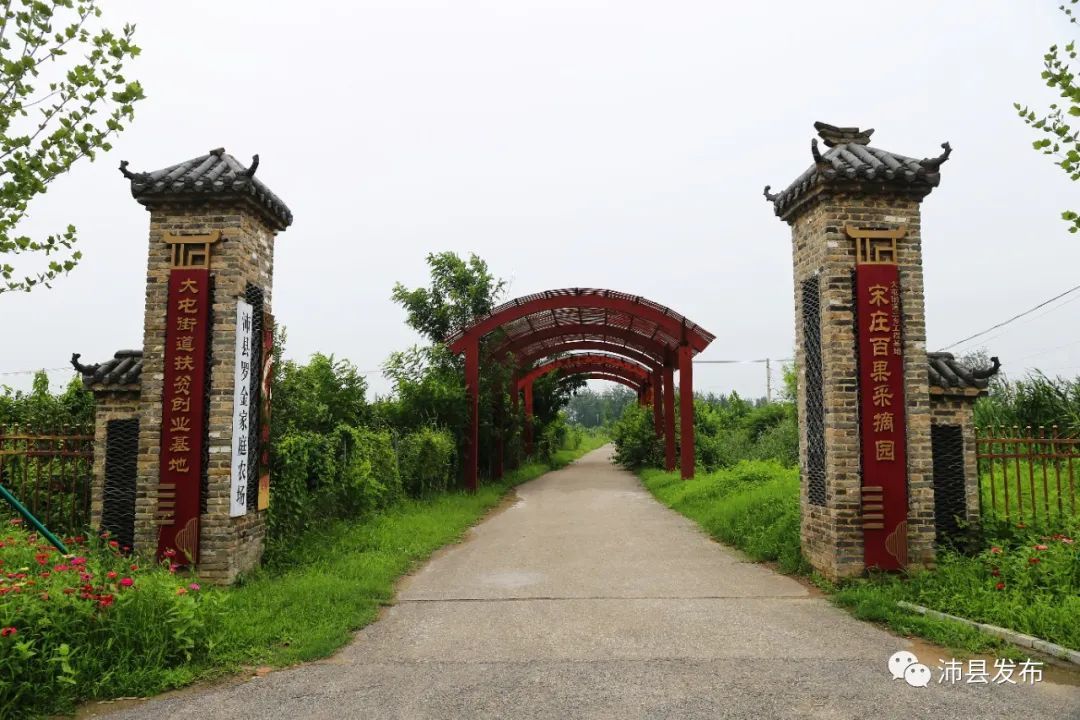 有颜有料沛县这个村有看头