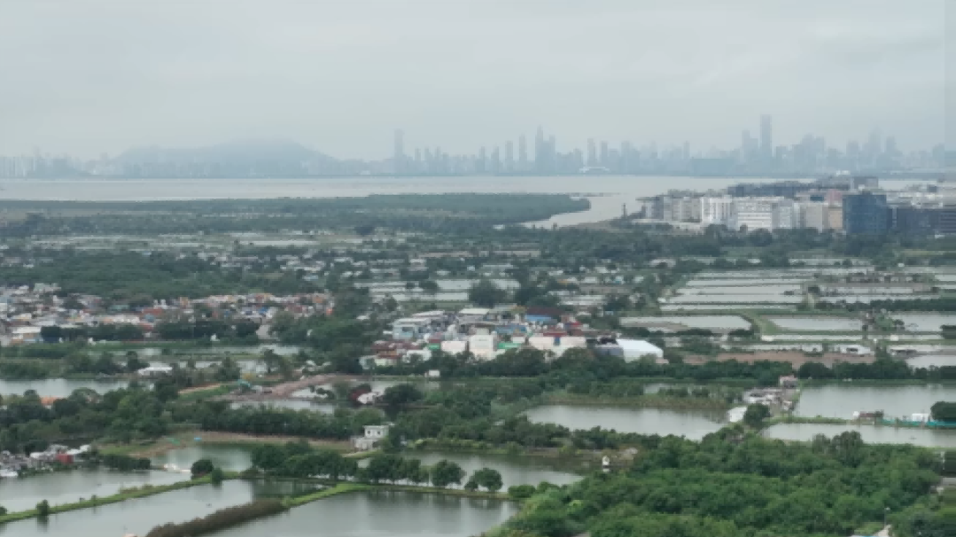 与农耕相适应的传统文化，在新界乡村得到很好的传承