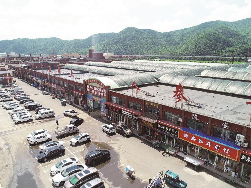 中国快大人参交易市场。 王姝月 摄
