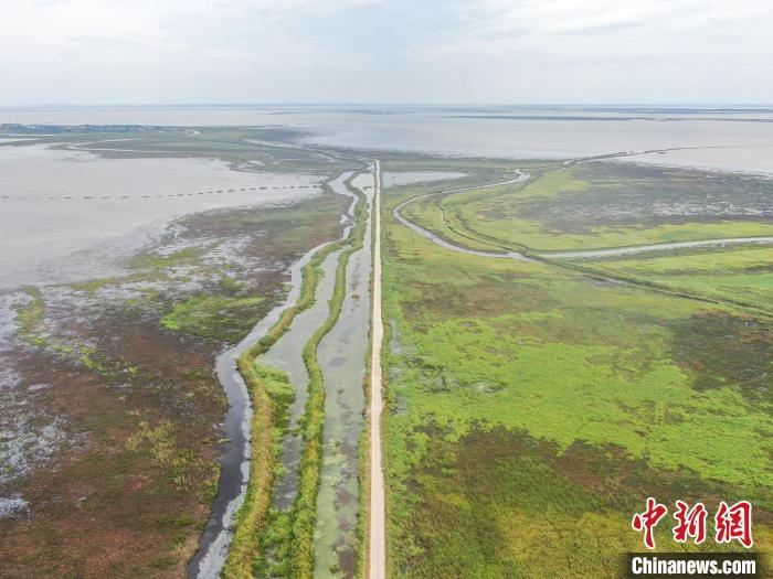 航拍江西鄱阳湖南矶湿地国家级自然保护区水草丰茂,风光秀美。 刘力鑫 摄