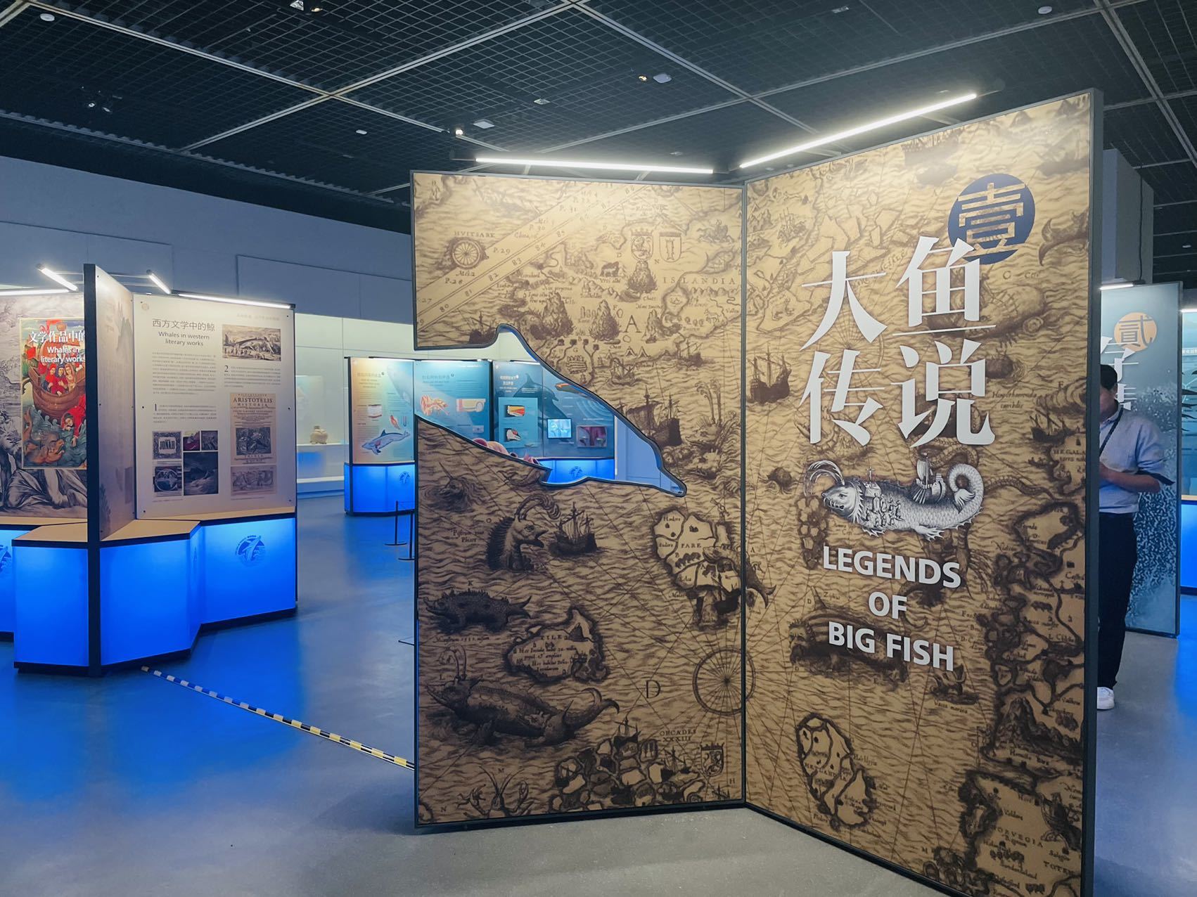 开启暑期展览之旅！大河文明、探秘鲸豚，宁波博物院两大特展联开